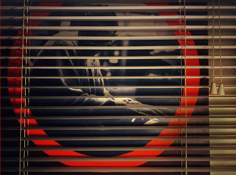 Miroslav Popović - Pianist / pijanista / piano / klavir, Arranger, Composer